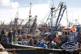 Image du Maroc Professionnelle de  Le système de la chaîne humaine pour vider la cale du bateau remplie de poissons encore vivat ! Les ouvriers s'activent énergiquement sans perdre de temps à faire passer de l’un à l’autre le panier en plastique rempli de sardines vivantes, cette dynamique dans le but de conserver la sardine toute fraîche durant l’opération de débarquement au Port de Laayoune, Lundi 8 Mars 2010. (Photo / Abdeljalil Bounhar)